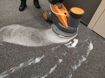 Carpet Shampooing in Oak Run, California by Win-Win Cleaning Services